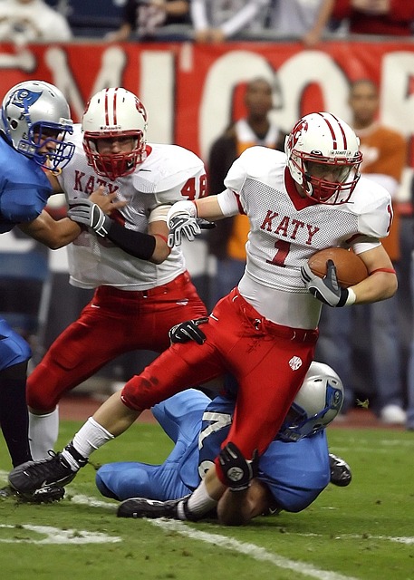 退役后的生 退役后的生